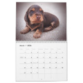 Calendrier des teckels 2018 d'Eridox (Mar 2026)