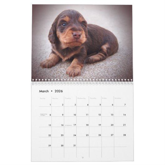 Calendrier des teckels 2018 d'Eridox (Mar 2026)