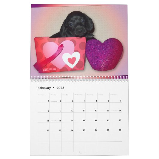 Calendrier des teckels 2018 d'Eridox (Feb 2026)