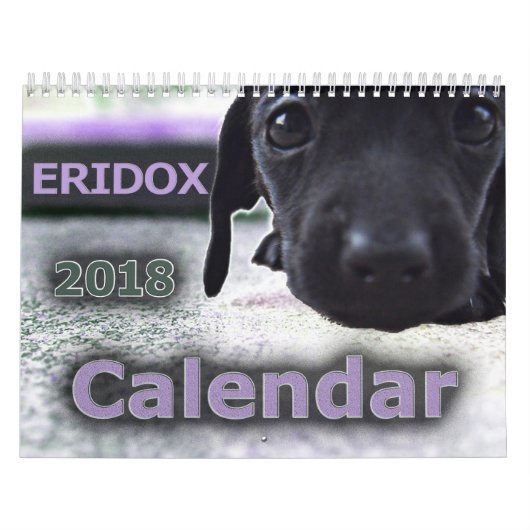 Calendrier des teckels 2018 d'Eridox (Protection)