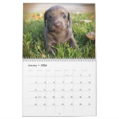 Calendrier des teckels 2018 d'Eridox (Jan 2026)