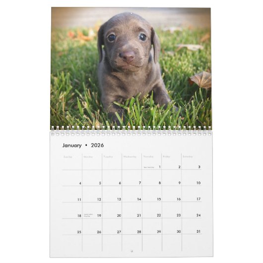 Calendrier des teckels 2018 d'Eridox (Jan 2026)