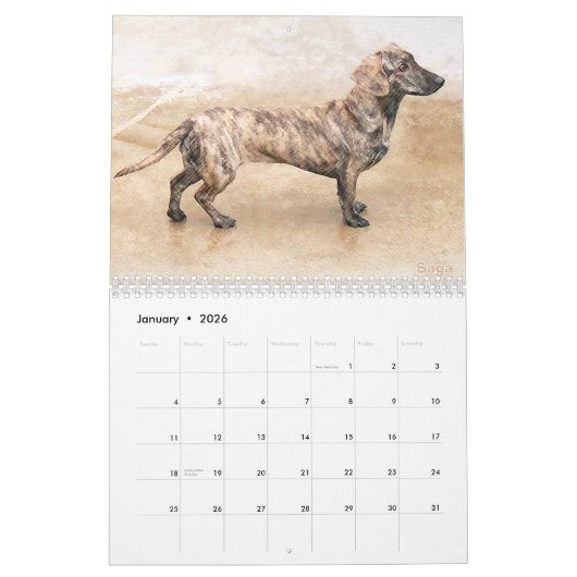 Calendrier des teckels 2019 d'Eridox (Jan 2026)