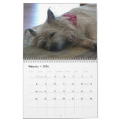 Calendrier des terriers de cairn 2012 (Feb 2026)