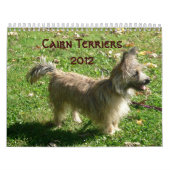 Calendrier des terriers de cairn 2012 (Protection)
