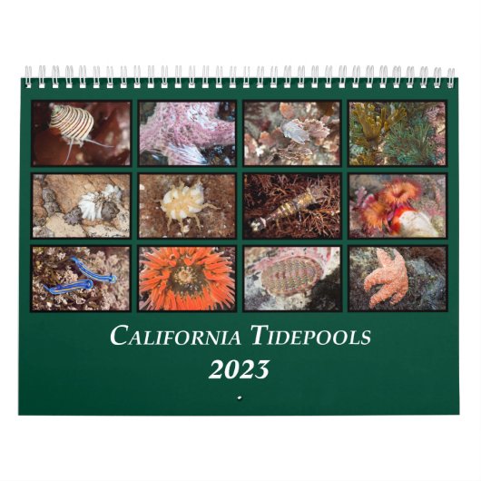 Calendrier des Tidepools de Californie (Protection)