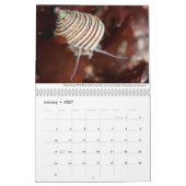 Calendrier des Tidepools de Californie (Jan 2027)