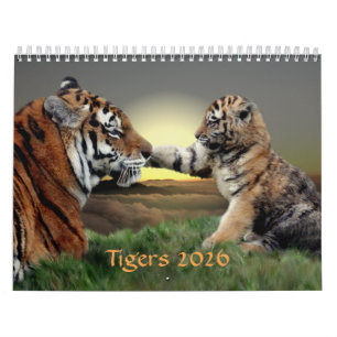 Calendrier des tigres 2025