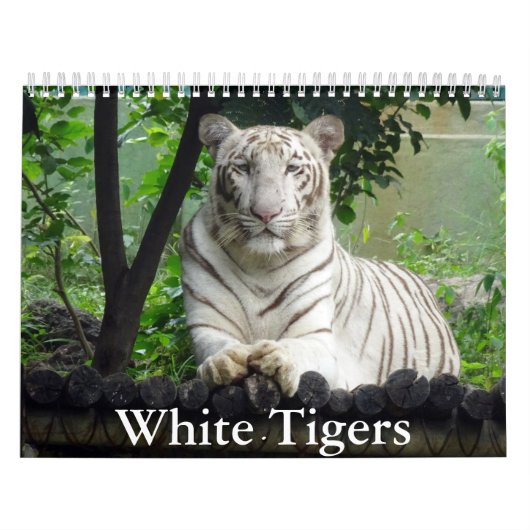 Calendrier des tigres blancs (Protection)