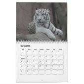 Calendrier des tigres blancs (Mar 2026)