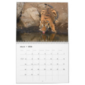 Calendrier des Tigres sauvages d'Inde (Mar 2026)