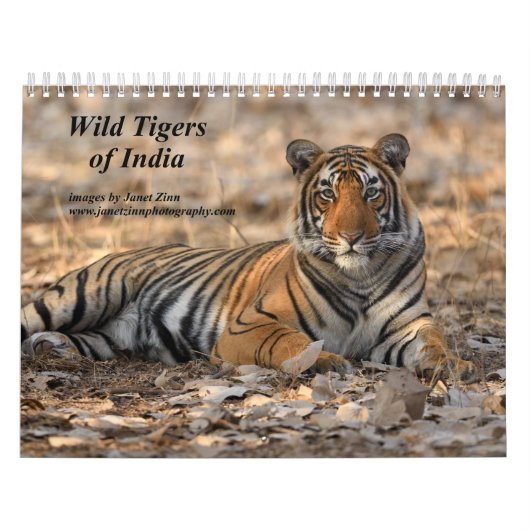Calendrier des Tigres sauvages d'Inde (Protection)