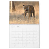 Calendrier des Tigres sauvages d'Inde (Jan 2027)