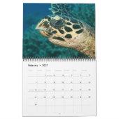 Calendrier des tortues de mer (Feb 2027)