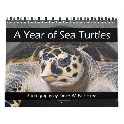 Calendrier des tortues de mer (Protection)