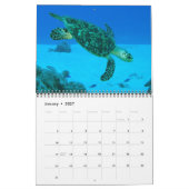 Calendrier des tortues de mer (Jan 2027)