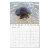Calendrier des tortues de mer vertes de Honu Hawaï (Jan 2027)