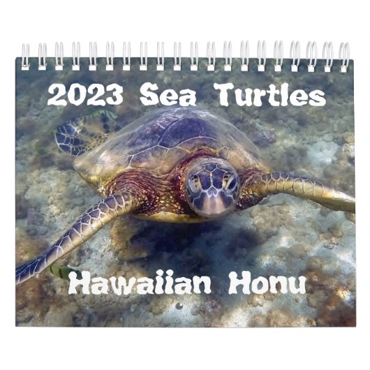 Calendrier des tortues de mer vertes de Honu Hawaï (Protection)