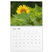Calendrier des tournesols (Mar 2026)