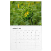 Calendrier des tournesols (Feb 2026)