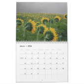 Calendrier des tournesols (Mar 2026)
