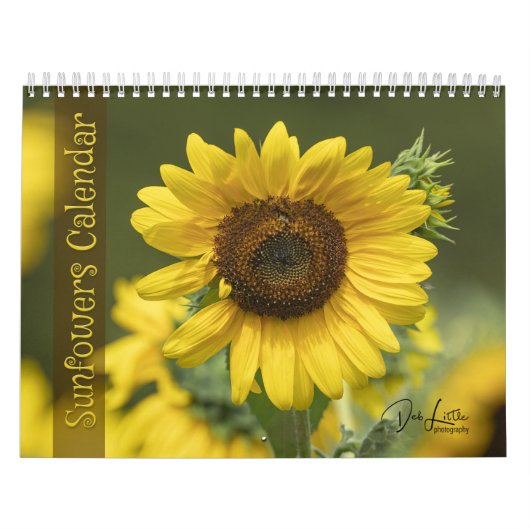 Calendrier des tournesols (Protection)