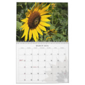 Calendrier des tournesols (Mar 2026)