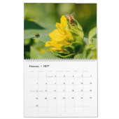 Calendrier des tournesols (Feb 2027)