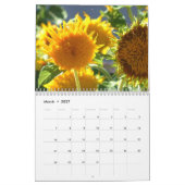 Calendrier des tournesols 2020 (Mar 2027)