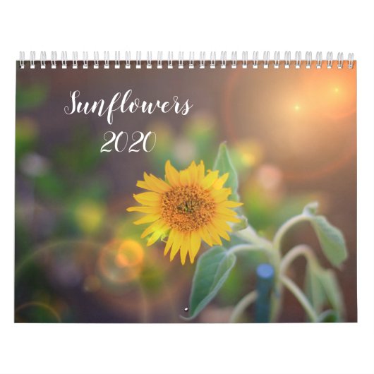 Calendrier des tournesols 2020 (Protection)