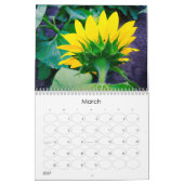 Calendrier des tournesols en marche (Mar 2027)