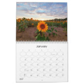 Calendrier des tournesols en marche (Jan 2027)
