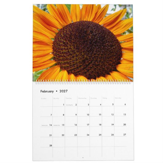 Calendrier des tournesols - tournesols du mois 202 (Feb 2027)