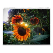 Calendrier des tournesols - tournesols du mois 202 (Protection)