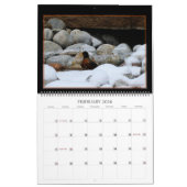 Calendrier Des trésors que l'on trouve tous les jours. Calend (Feb 2026)