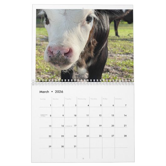 Calendrier des vaches 2024 (Mar 2026)