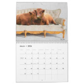 Calendrier des vaches de repos par Tiffany Bohrer (Mar 2026)