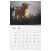 Calendrier des vaches Highland 2025 (Feb 2026)