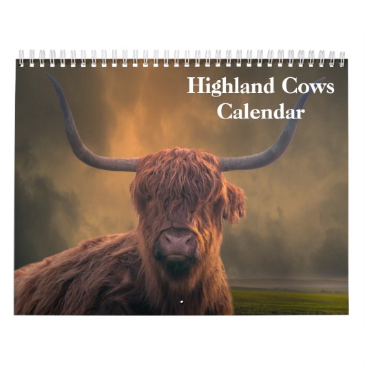 Calendrier des vaches Highland 2025 (Protection)