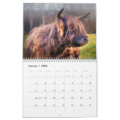 Calendrier des vaches Highland 2025 (Jan 2026)
