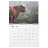 Calendrier des vaches Highland 2025 (Mar 2027)