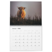 Calendrier des vaches Highland 2025 (Jan 2026)
