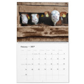 Calendrier des ventes (Feb 2027)