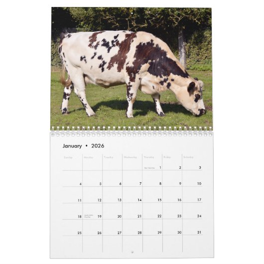 Calendrier des ventes (Jan 2026)