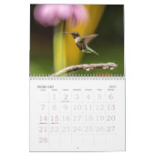 Calendrier des visiteurs d'été minuscules, colibri (Feb 2027)