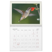 Calendrier des visiteurs d'été minuscules, colibri (Jan 2027)
