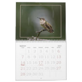 Calendrier des visiteurs d'été minuscules, colibri (Mar 2027)