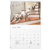 Calendrier des Westie et des chiens 2021 (Jan 2027)