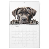 Calendrier des yeux de chiot de chien mignon (Mar 2027)