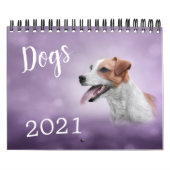 Calendrier Dessin de drôles de chiens (Protection)